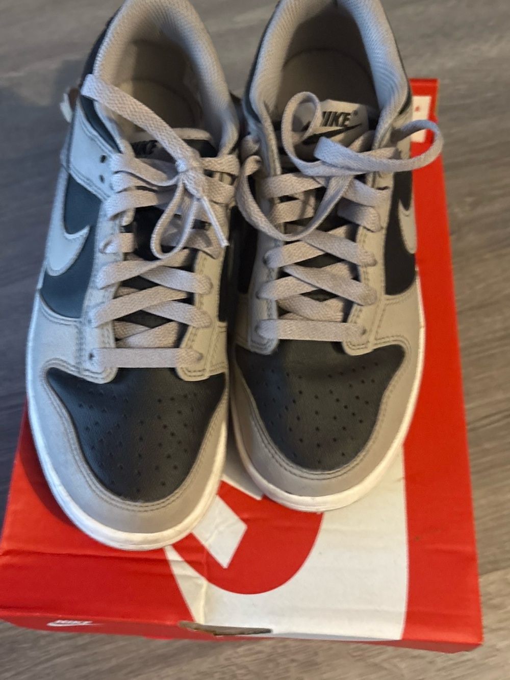 Nike Low-Top Sneakers in Gray and Black